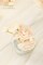 Floroom Ranunculus Artificial Flowers 18 Pcs Champagne Faux Silk Mini Ranunculus Bulk Fake Wedding Filler Flowers for DIY Cream Bouquets, Centerpieces, Bridal Shower Decorations & Arrangements